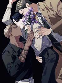 Acanthus [Zi]