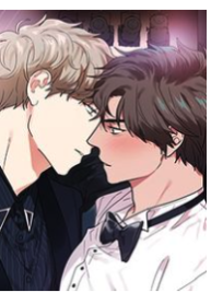 Antinomy
