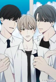 BL’s standard