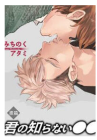 Kimi No Shiranai Xx