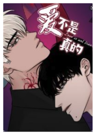 Love Is Not Real